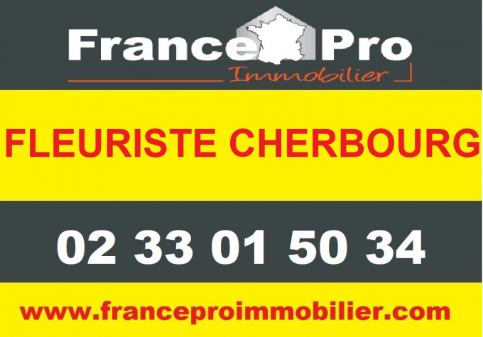 Vente Immobilier Professionnel Fonds de commerce Cherbourg (50100)